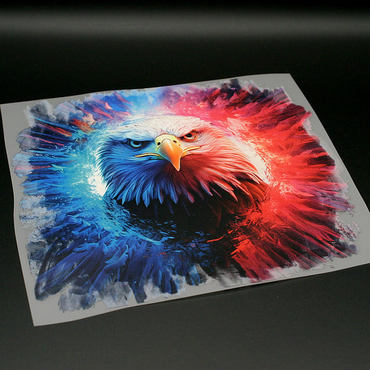 Dimensionsriss Adler Bügelbild