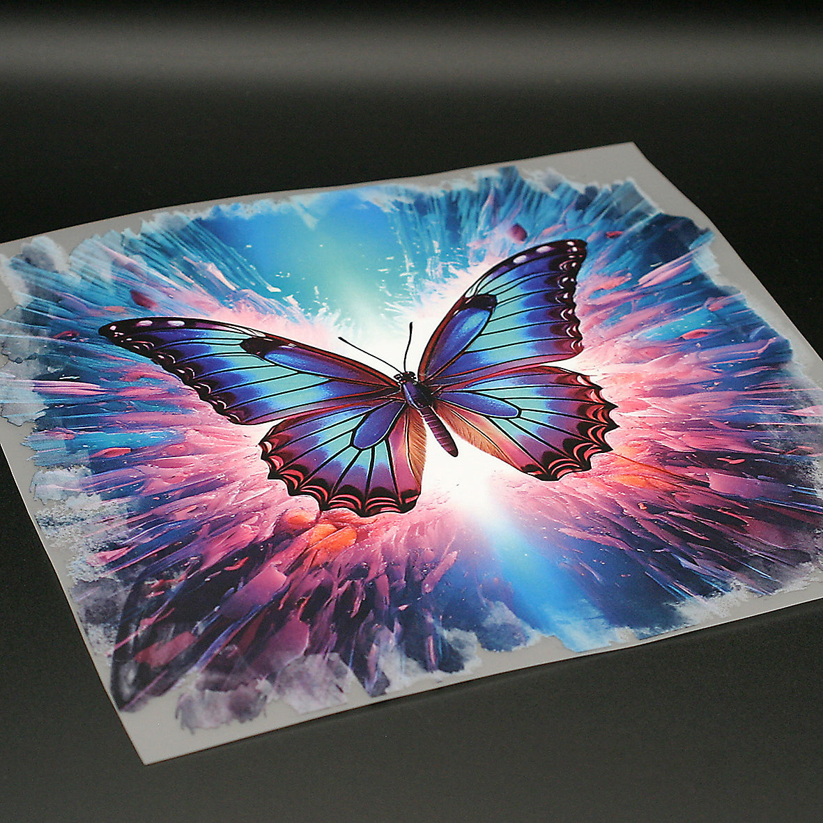 Dimensionsriss Schmetterling Bügelbild