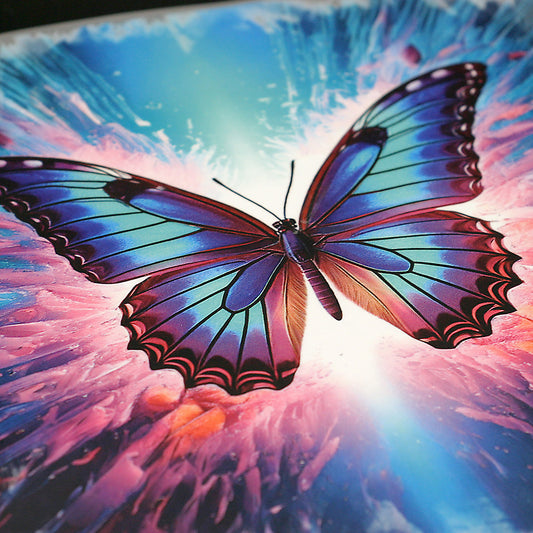 Dimensionsriss Schmetterling Bügelbild
