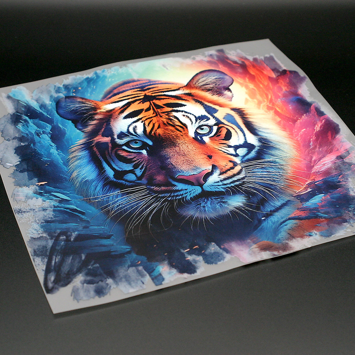 Dimensionsriss Tiger Bügelbild
