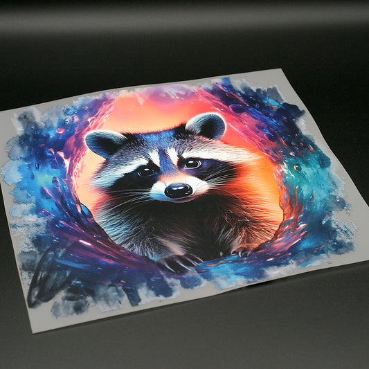 Dimensionsriss Waschbär Bügelbild