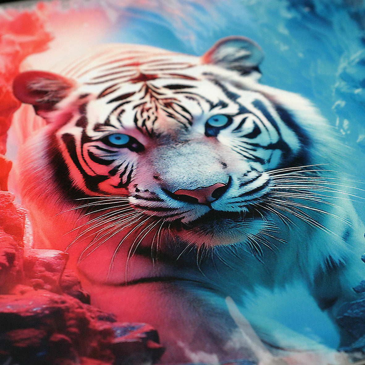 Dimensionsriss Weisser Tiger Bügelbild