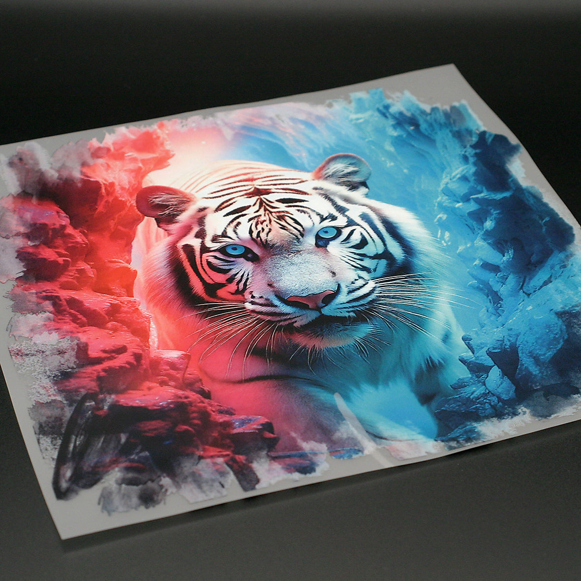 Dimensionsriss Weisser Tiger Bügelbild
