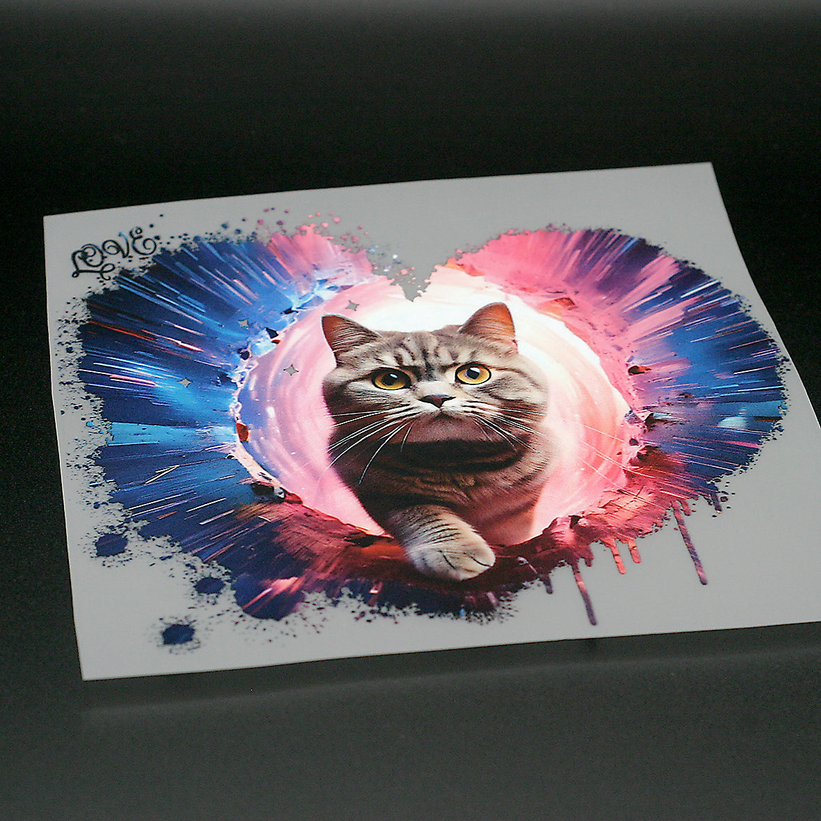 Love Katze BKH
