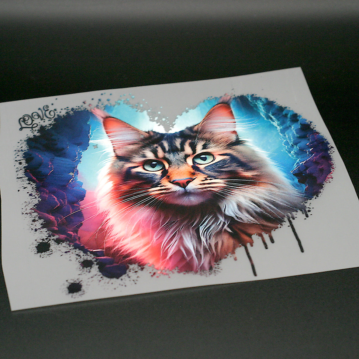 Love Katze MaineCoon Bügelbild